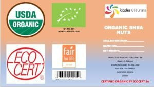 Ripples USA Partnership With UNDP Ghana - Seed Funding Provided  For Shea Butter Fair Trade And Organic Certification