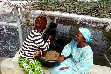 Aquaculture: Creating New, Resilient Food Systems