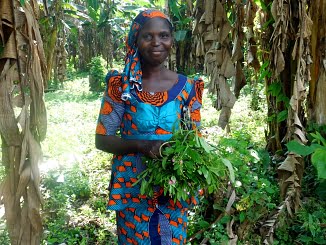 Ripples Farm Model: Increasing food security and income through resilient agriculture systems.