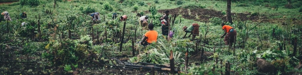 Smallholder Farming