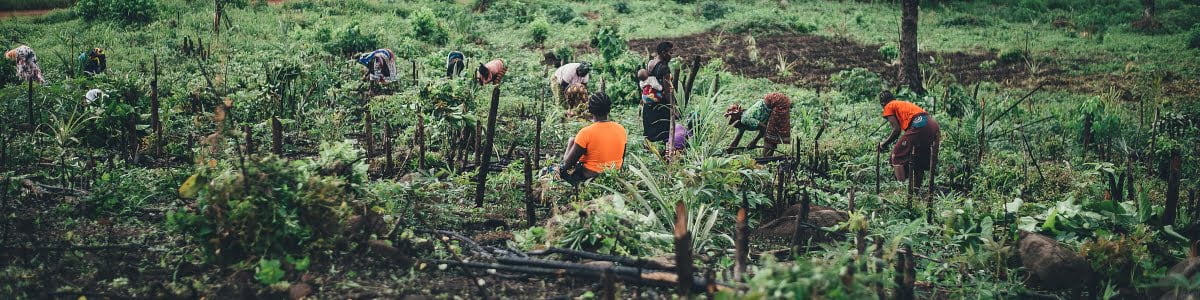 Connecting Theory Into Practice: Ripples connects academic centers focused on social enterprise and sustainable development with project-based learning opportunities in West Africa.