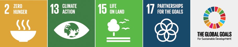 Food Security: UN Sustainability Goals