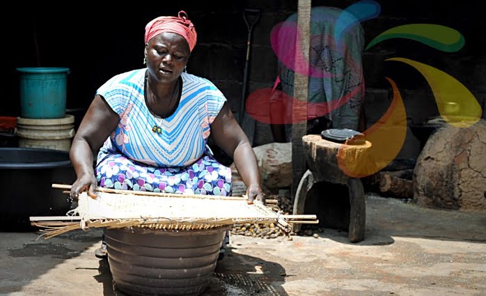 Social Enterprise: Design a plan to start up new businesses and/or enter new markets.