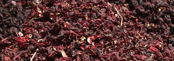 Hibiscus is Driving Flavor Innovation across the Food and Beverage Category