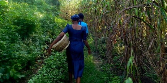 The Future We Want: Open More Markets to African Women