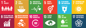 Ripples in Africa UN Sustainable Development Goals