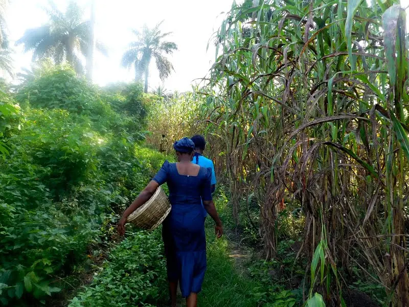 The Future We Want: Open more markets to African Women