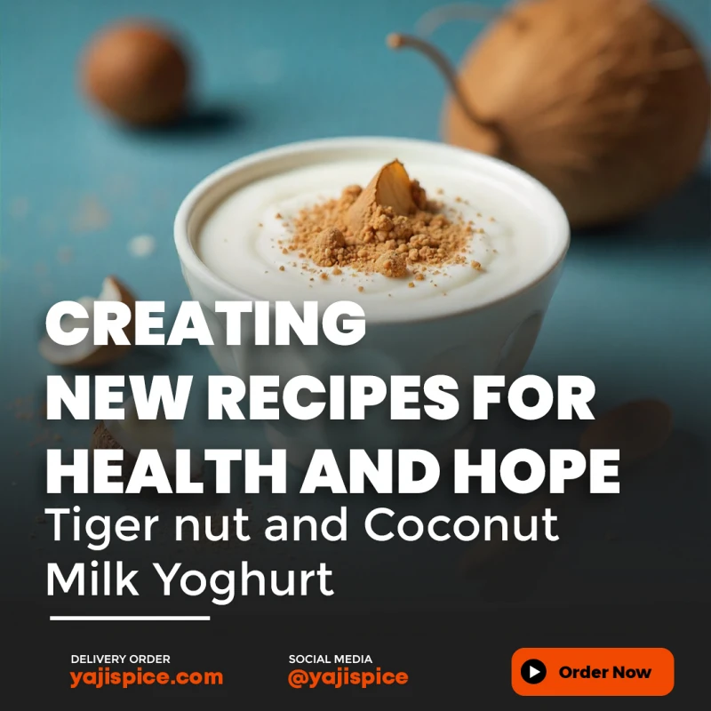 Creating New Recipes for Health and Hope: Tiger nut and Coconut Milk Yoghurt