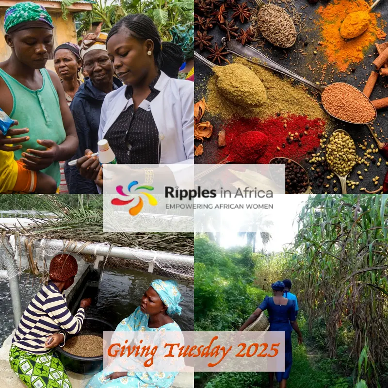 Ripples in Africa Giving Tuesday 2025